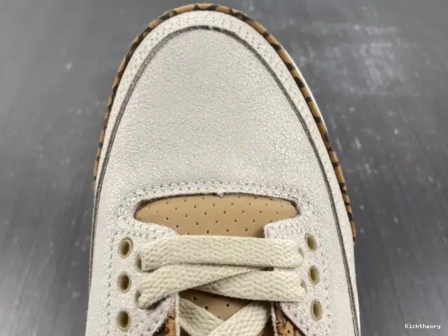 Kicktheory Air Jordan Palomino CT8532-102 3 0607